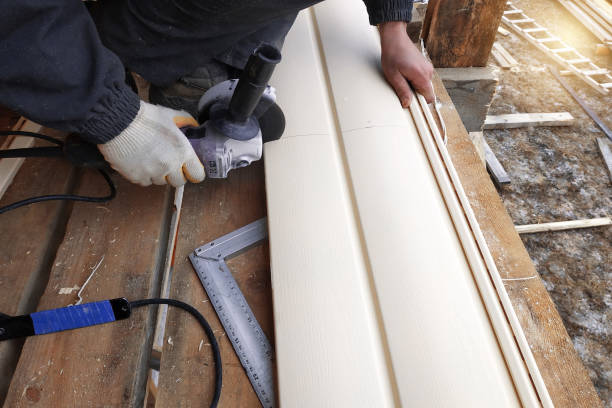 Best Custom Trim and Detailing for Siding  in Sussex, WI